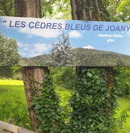 Cedres Bleus De Joany Chez Nathalie Hotel Viviez Bagian luar foto