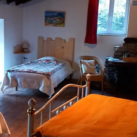 Cedres Bleus De Joany Chez Nathalie Hotel Viviez Bagian luar foto