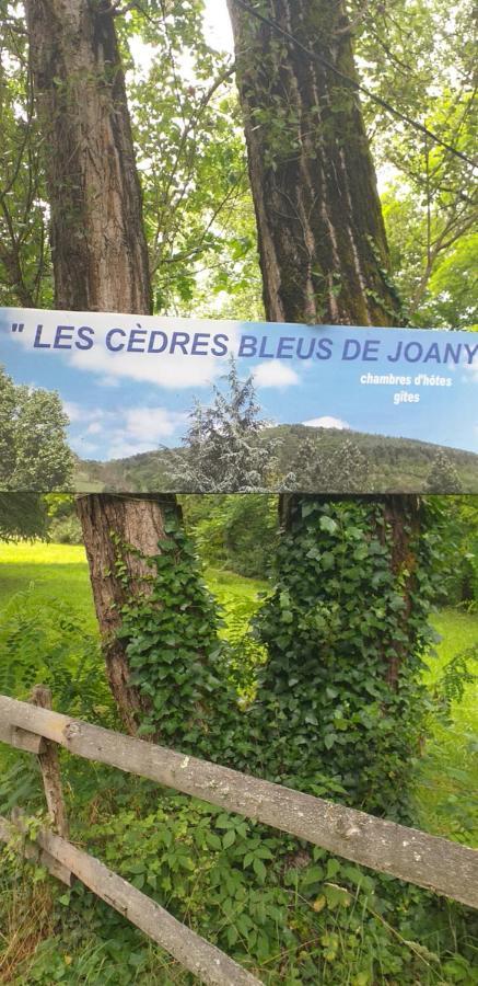 Cedres Bleus De Joany Chez Nathalie Hotel Viviez Bagian luar foto
