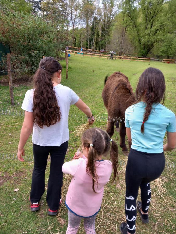 Cedres Bleus De Joany Chez Nathalie Hotel Viviez Bagian luar foto
